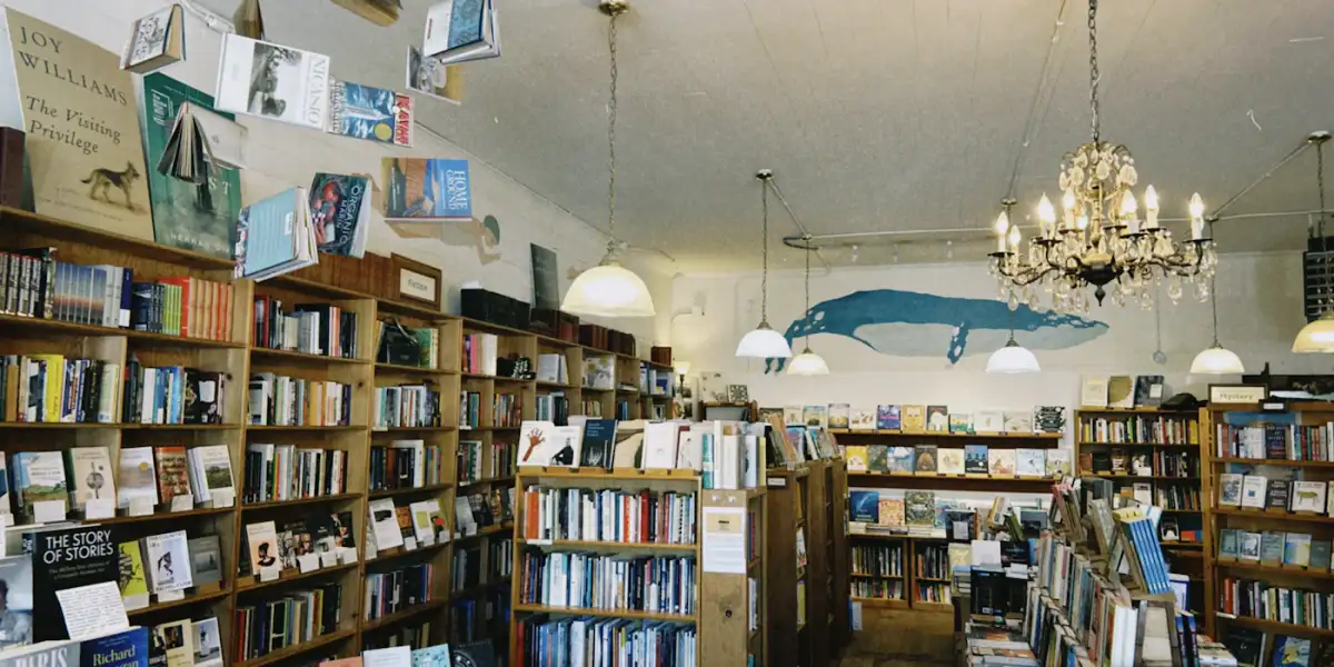 Neighbourhood bookshop with shelves full of books